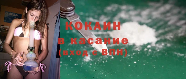 крисы Аркадак