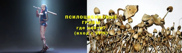 крисы Аркадак