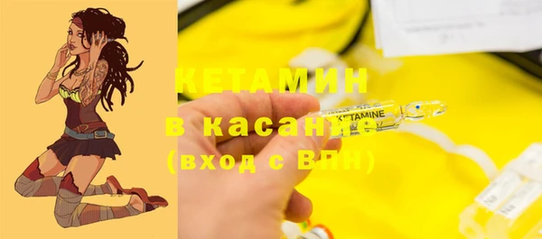 крисы Аркадак