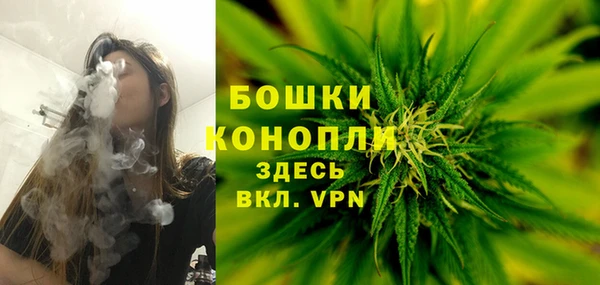 крисы Аркадак