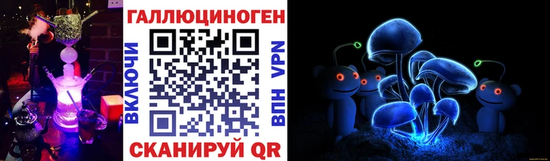 Галлюциногенные грибы прущие грибы купить цена Судогда